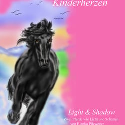 Flyer für ein Buch