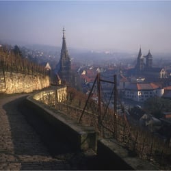 morgendlicher Dunst über Esslingen