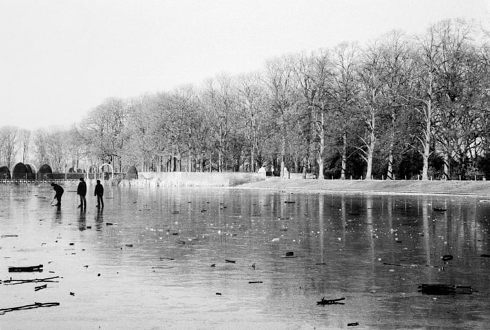090102-11 Bluecherpark