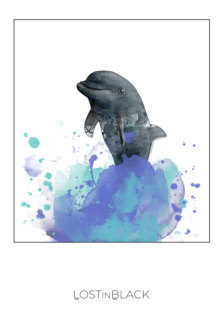 dolphin-ringheft