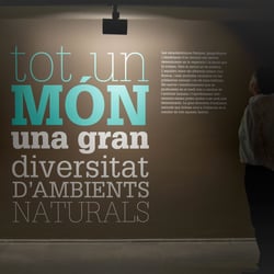 Ausstellungsgestaltung