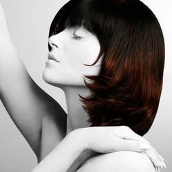Hairdressing Awards 2007 und 2008