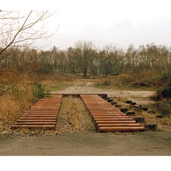 Die Heide lebt