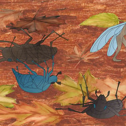 Herbstgeschichte 2