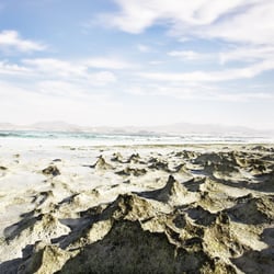 fuerte beachhotel
