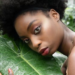 plant based −17