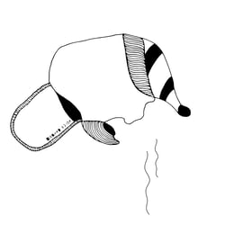 Waschbär