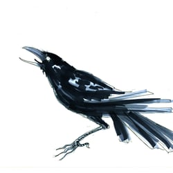 neelam-peristeris-crow-02
