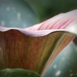 DSCN5743a