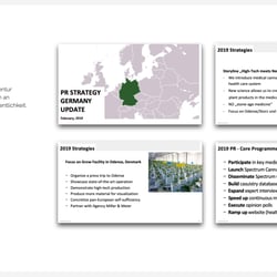 Portfolio Strategic Marketing und Konzeption