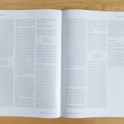 Doppelseite, Artikel