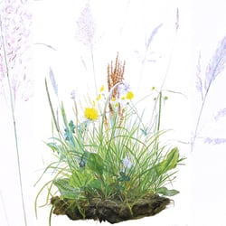 Wiesenstück