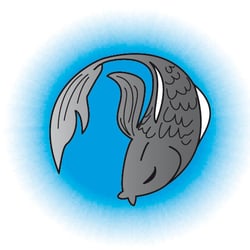 Sternzeichen
