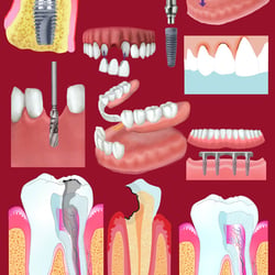 Med.Illustration. Illustrator CS3