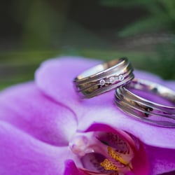 Hochzeit 5