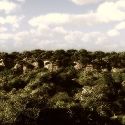 Landscape