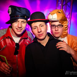 Rummel im Jungel