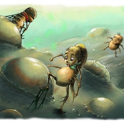 Brunobert Frosch 2