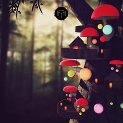 Magic Mushrooms