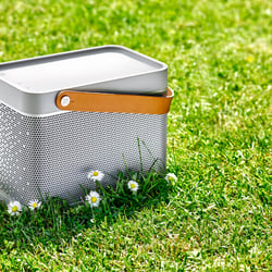 BangOlufsen