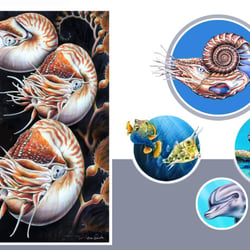 Nautilus, Amonit, Meeresbewohner…