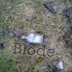 Blöde
