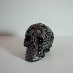 Hunter’s Skull