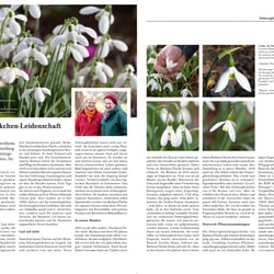 Doppelseite des Magazins „Blätterrauschen“