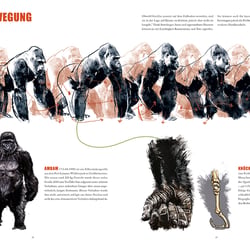 Gorilla (Sachbuch)