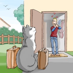 Ihr neuer Mensch! – Ein Ratgeber für Katzen – Titelbild