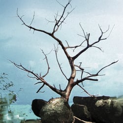 Treeview_digital_painting