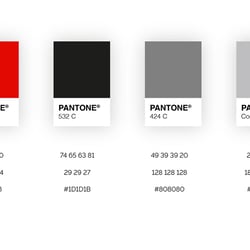 Farbpalette im Identity Design