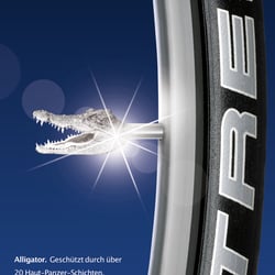 Anzeige