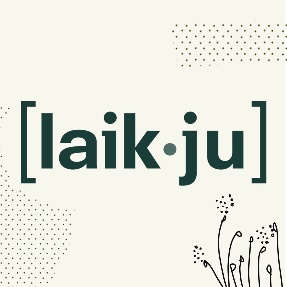 Corporate und Webdesign für [Laik•ju]