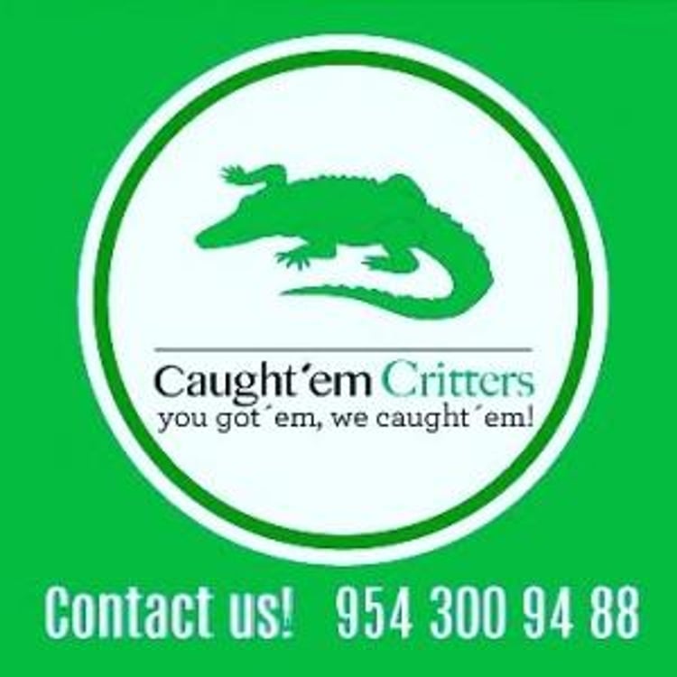 Caught em Critters