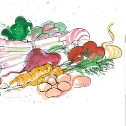 Illustrationsstil für Weinlabel / hier für einen Wein, der zu saisonalen Gemüsegerichten passt