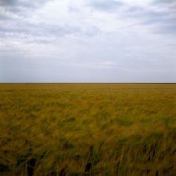 Westhoek, Friesland 2009.