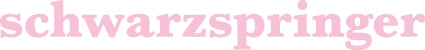 schwarzspringer Werbeagentur GmbH