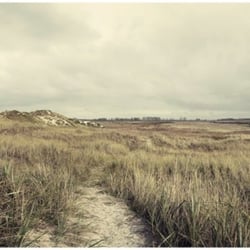 LANDSCAPE .02