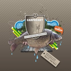 Corporate, Illustration / Carpheart
