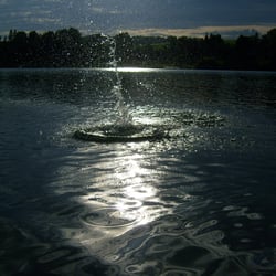 Dark Water