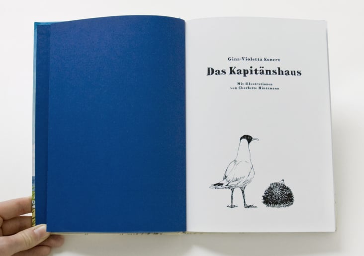 Schmutztitel