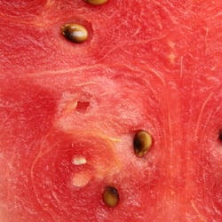 Food Fotografie 2012 Wassermelone 03