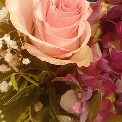 Flower Power / 2022