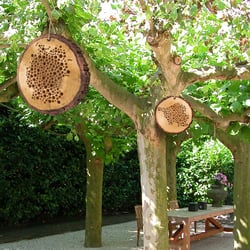 B wie Bienenhotel, Länderbranding