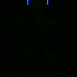 Blue Madonna