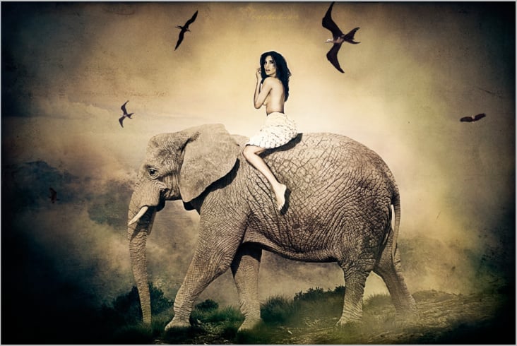 Phantasy journey