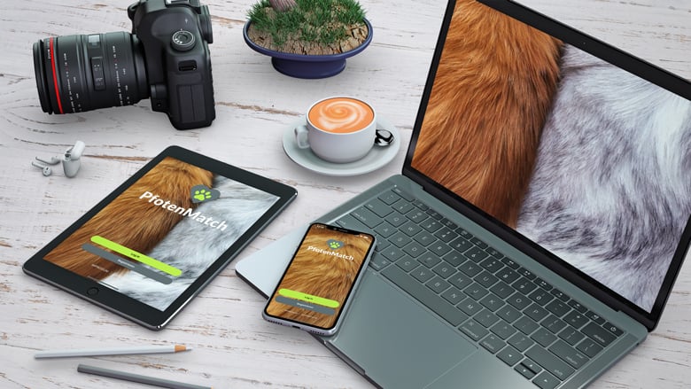 App Entwicklung inkl. UX/UI Design