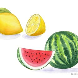 Watercolour Workshop