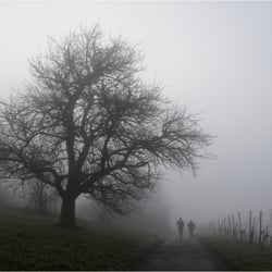 Spaziergänger im Nebel
